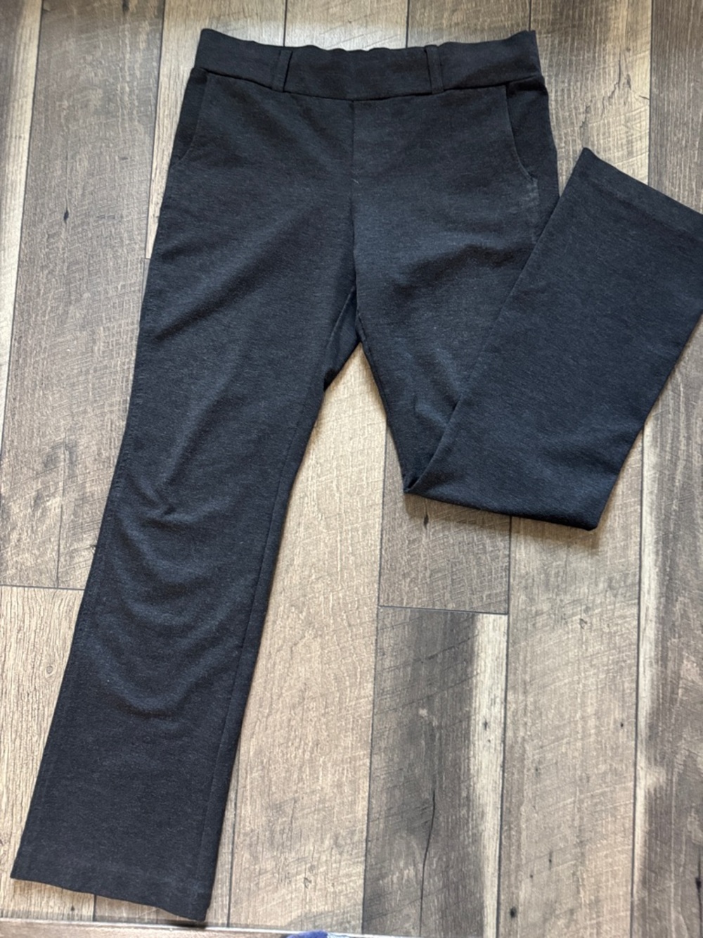Daisy Fuentes Black Knit Pull-On Pants